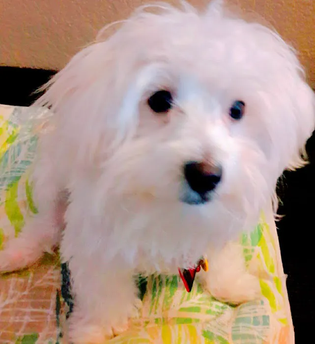 Parkside Veterinary Hospital 12