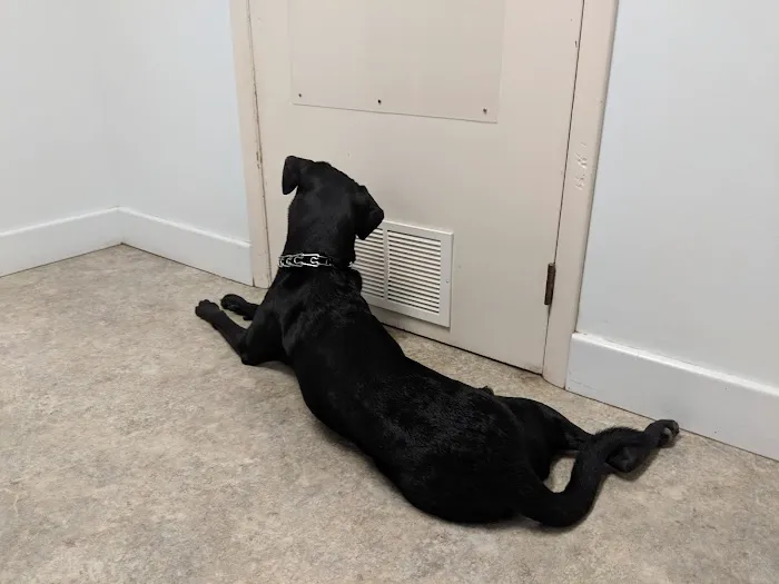 Parkside Veterinary Hospital 12