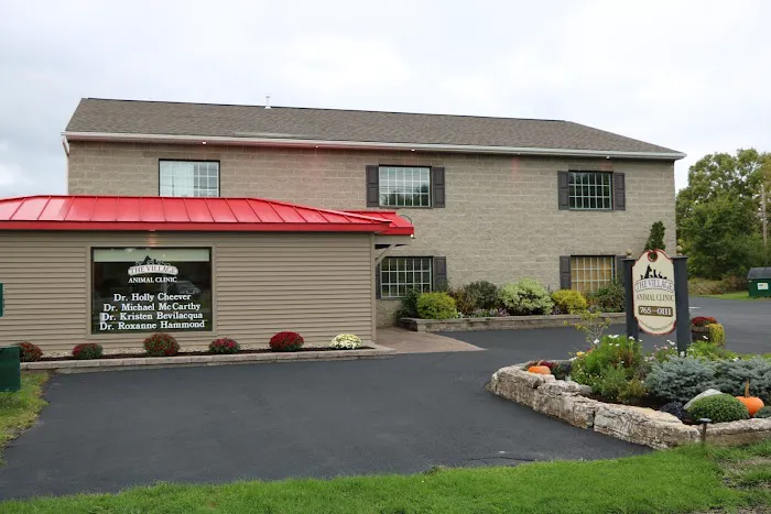 The Village Animal Clinic 12