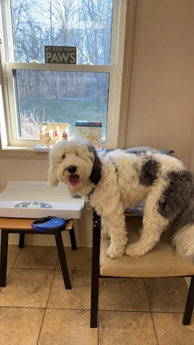 The Village Animal Clinic 12