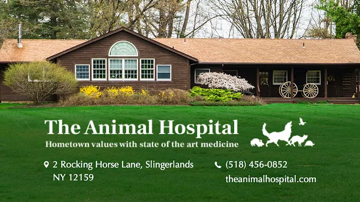 The Animal Hospital 12