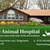 The Animal Hospital ico