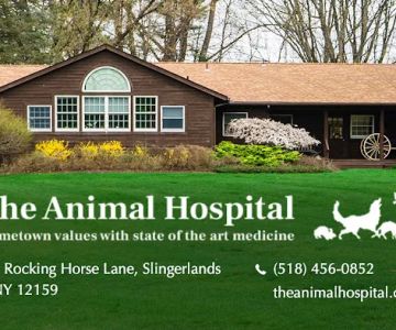 The Animal Hospital