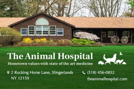 The Animal Hospital