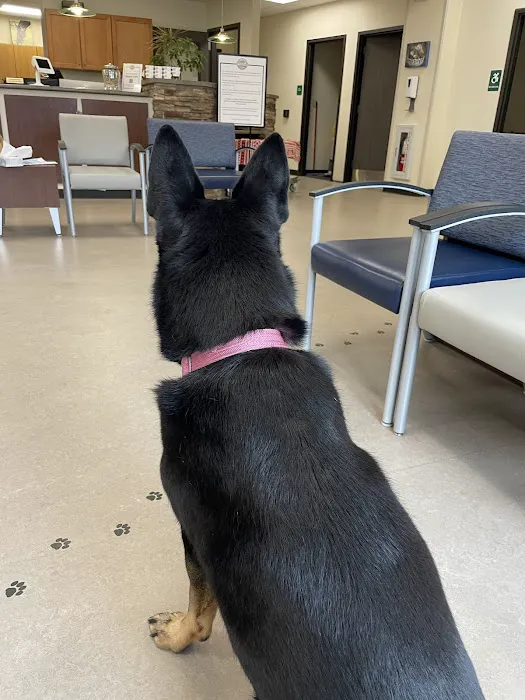 New York State Veterinary Medical Society 12