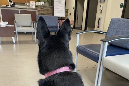New York State Veterinary Medical Society