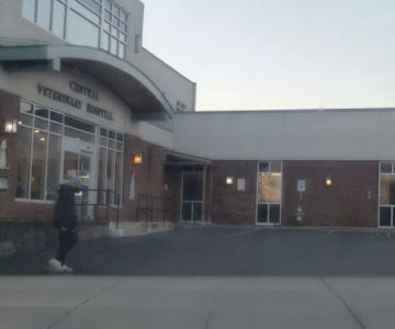 Central Veterinary Hospital
