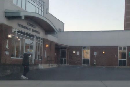 Central Veterinary Hospital