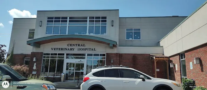 Central Veterinary Hospital 12