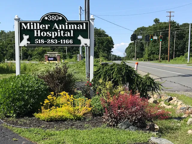 Miller Animal Hospital 12