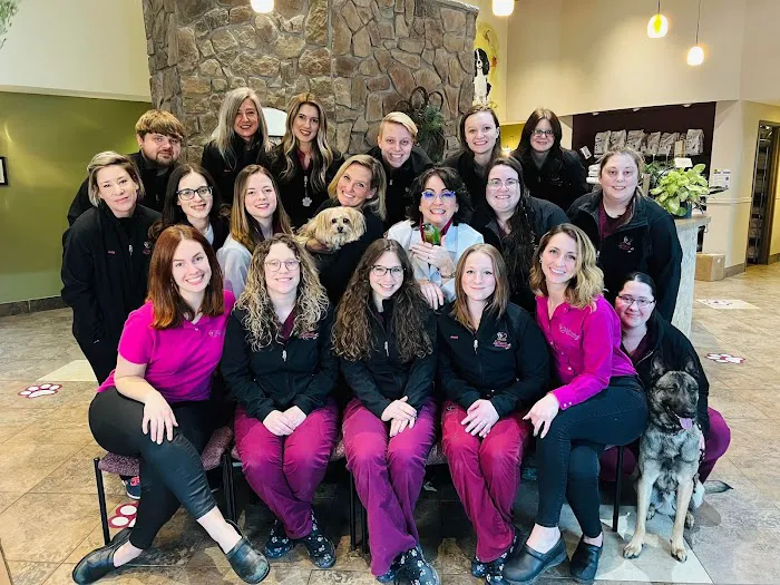 4 Paws Veterinary Care PLLC 4