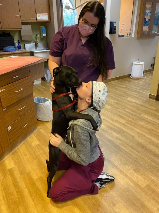 4 Paws Veterinary Care PLLC 8