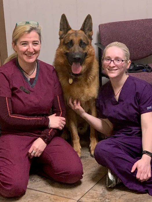 4 Paws Veterinary Care PLLC 10
