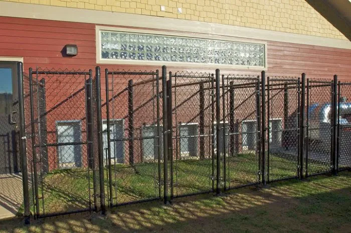 4 Paws Veterinary Care PLLC 1