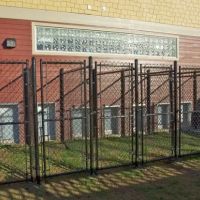 4 Paws Veterinary Care PLLC ico