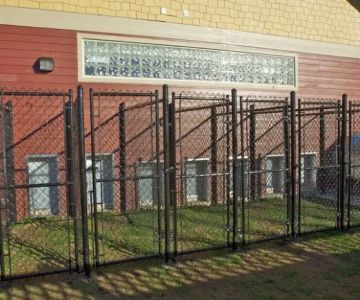 4 Paws Veterinary Care PLLC