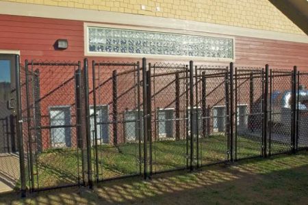 4 Paws Veterinary Care PLLC