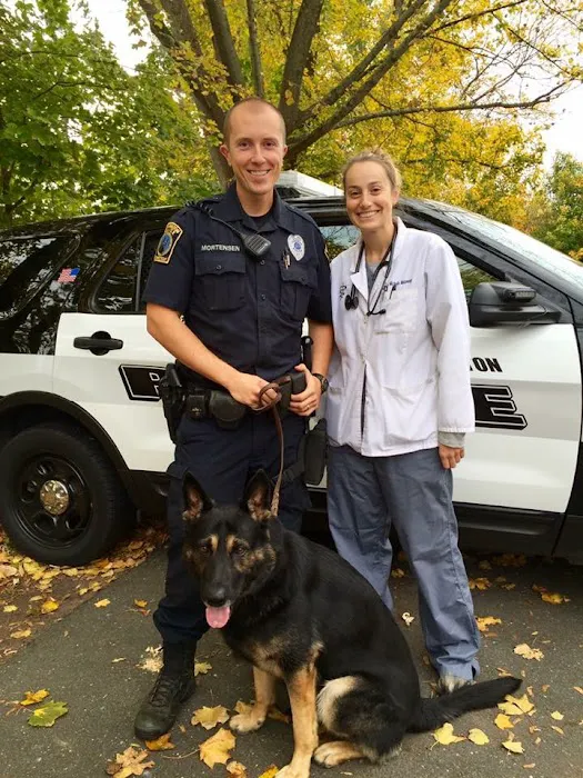Star Meadow Animal Clinic 12