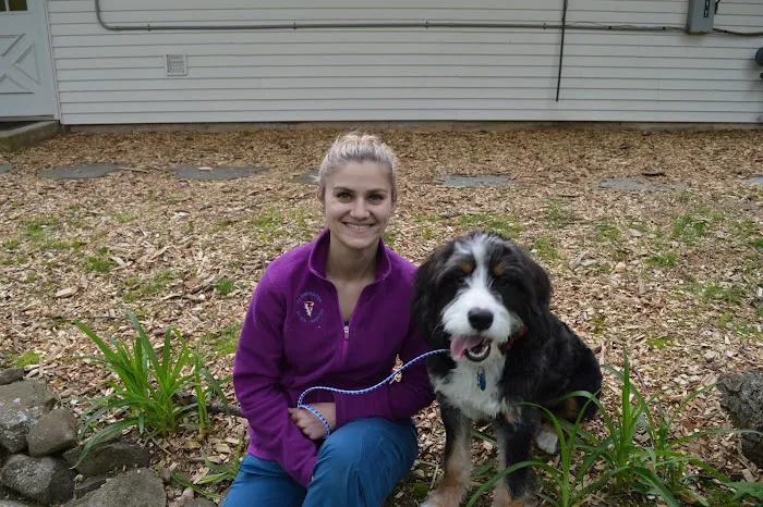 Farmington Animal Hospital 12