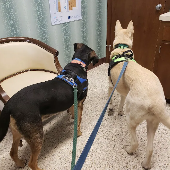 Farmington Animal Hospital 12