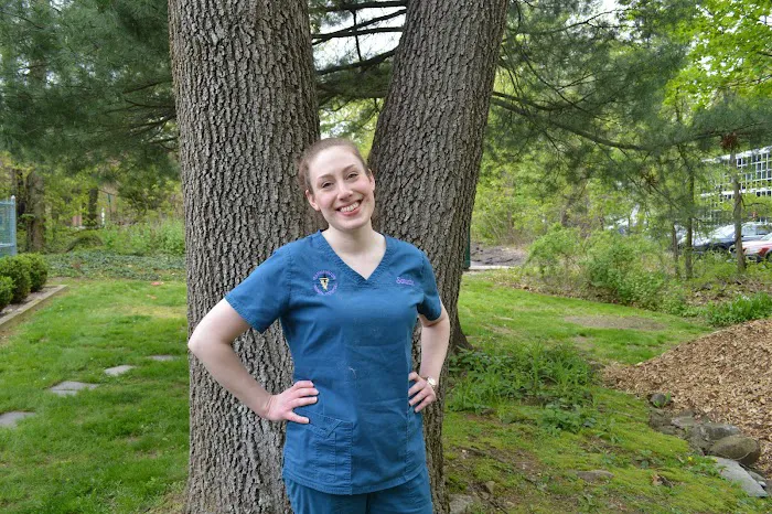 Farmington Animal Hospital 12