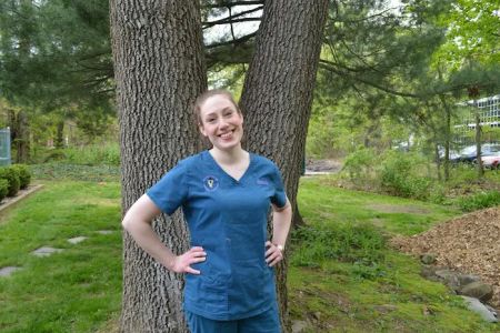Farmington Animal Hospital
