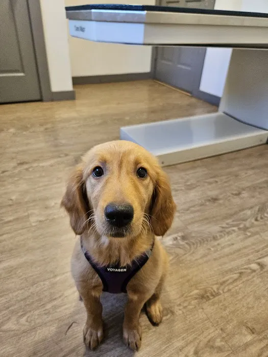 Powder Ridge Veterinary Hospital 12