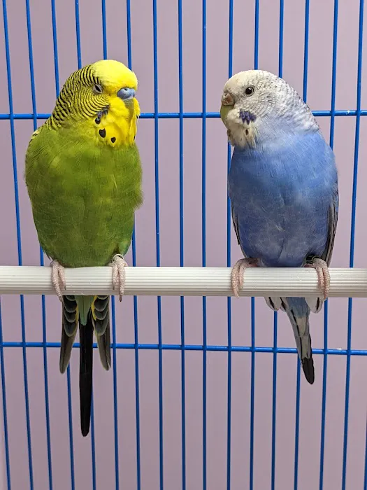Kensington Bird & Animal Hospital 12