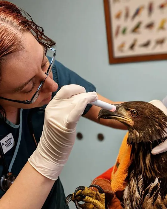 Kensington Bird & Animal Hospital 12
