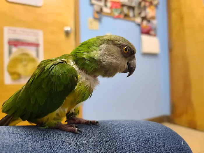 Kensington Bird & Animal Hospital 12