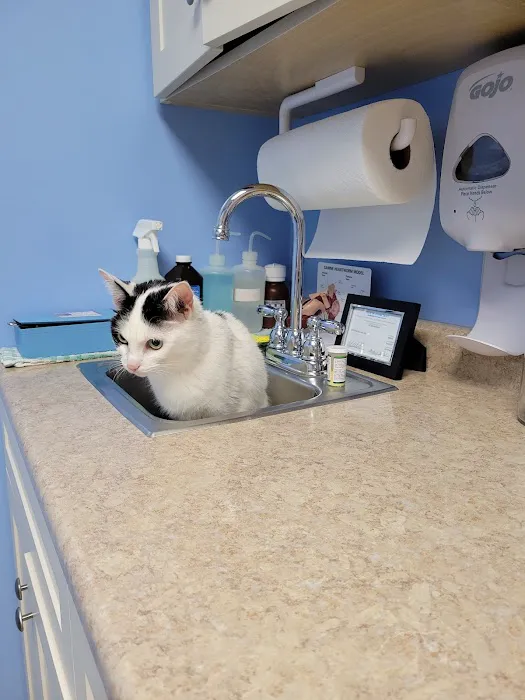 Kensington Bird & Animal Hospital 12