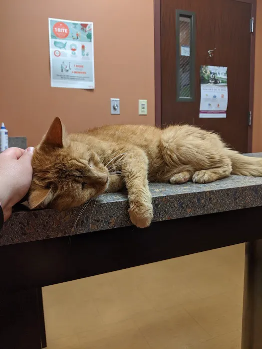 Compassionate Care Veterinary Hospital 12