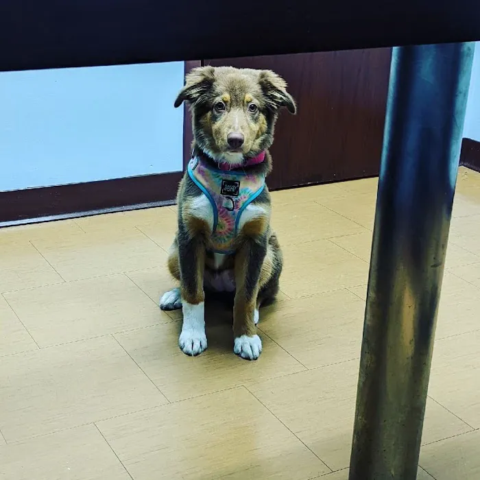 Compassionate Care Veterinary Hospital 12