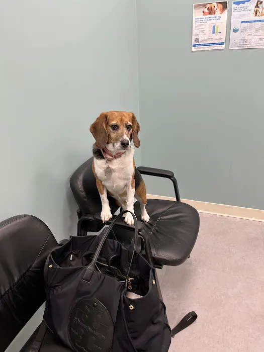 Compassionate Care Veterinary Hospital 12