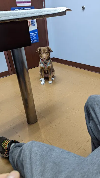 Compassionate Care Veterinary Hospital 12