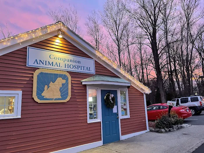 Companion Animal Hospital 12