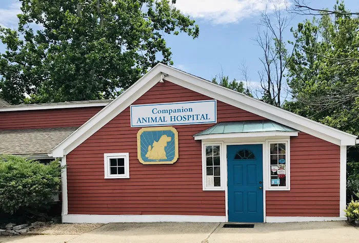 Companion Animal Hospital 12