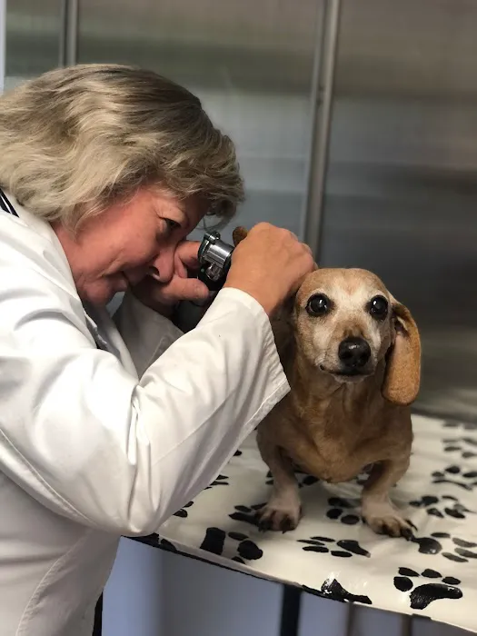 Companion Animal Hospital 12