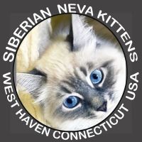 Svetlana Sokolova ico