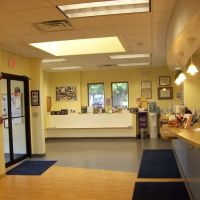 VCA Baybrook Animal Hospital ico