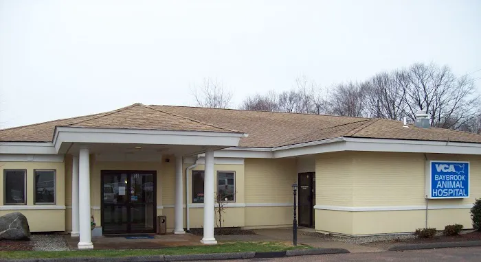 VCA Baybrook Animal Hospital 12