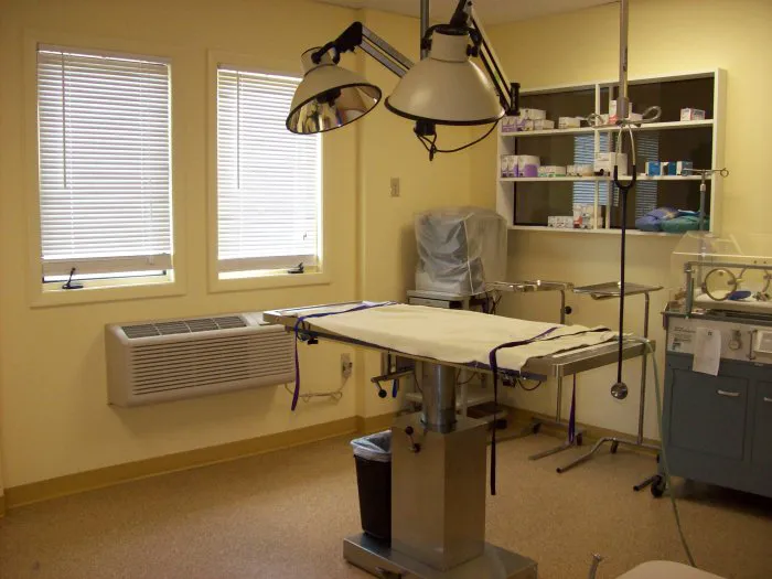 VCA Baybrook Animal Hospital 12