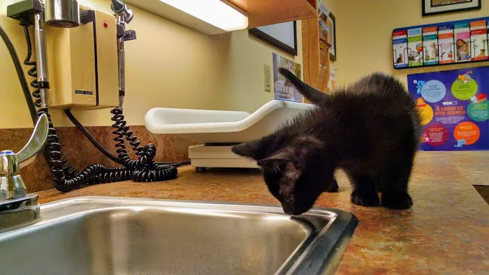 VCA Baybrook Animal Hospital 12