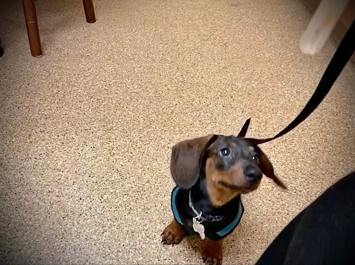 VCA Baybrook Animal Hospital 12