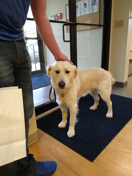 VCA Baybrook Animal Hospital 12