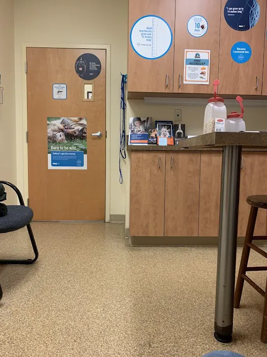 VCA Baybrook Animal Hospital 12