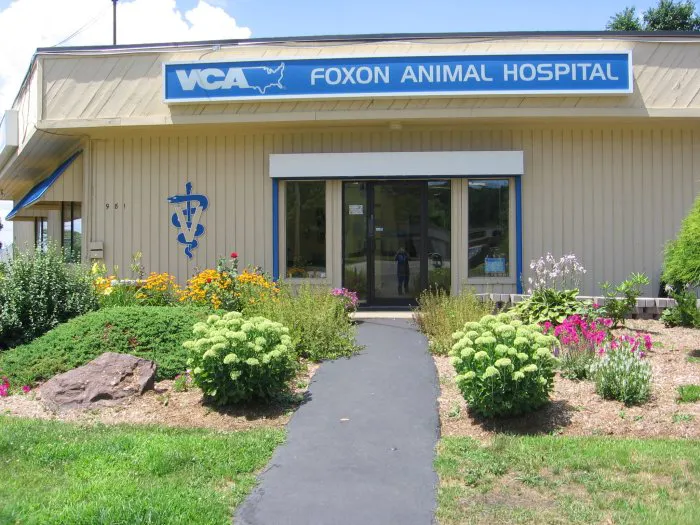 VCA Foxon Animal Hospital 12