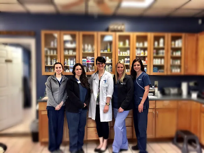 VCA Foxon Animal Hospital 12