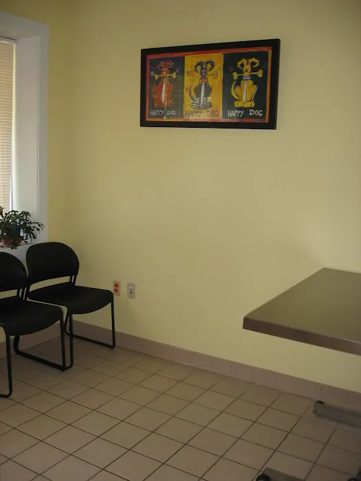 VCA Foxon Animal Hospital 12