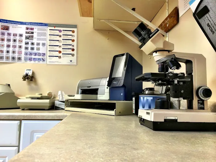 VCA Foxon Animal Hospital 12